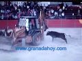 Toreando con excavadora en Pi�ar (Granada)