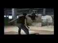 crazy tony jaa