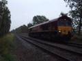 37401 etc in Hardwick Woods