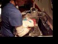 Lainey Peters video 2