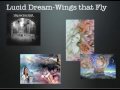 LUCID DREAMS-DREAMS THAT FLY