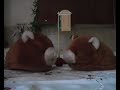 Animaletti arianesi 2