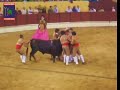 Grupo Forcados Amadores Chamusca Grupo Forcados Amadores Chamusca