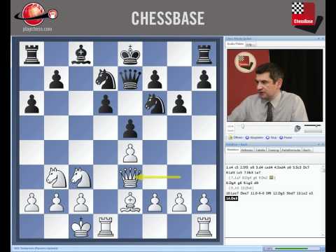 chessbase