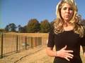 videos de *Weather @ a Glance*
