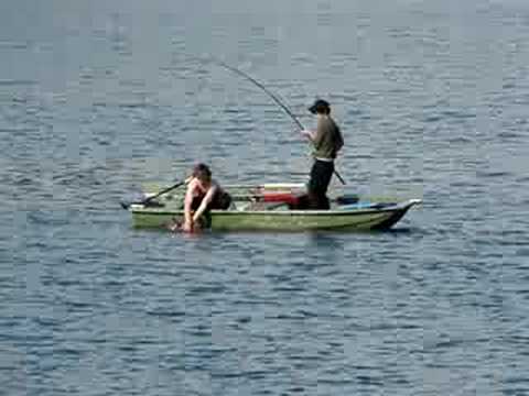 how to bleed out a catfish