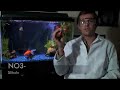 The Nitrogen Cycle The Nitrogen Cycle