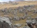 pinturas rupestres en puno