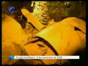 Ciudad de México / Redacción Central,5 noviembre (CERES TELEVISIÓN / AGENCIAS).-El secretario de Gobernación mexicano, el equivalente al ministro del Interior en España, Juan Camilo Mouriño, y otras siete personas fallecieron al estrellarse la avioneta en la que viajaban en una zona de oficinas de Ciudad de México, según confirmó el jefe de Gobierno del Distrito Federal, Marcelo Ebrard.En el aparato siniestrado, una avioneta leajer jet procedente de San Luis de Potosí y con destino al Aeropuerto Internacional de la Ciudad de México, también viajaba José Luis Santiago Vasconcelos, funcionario de la Secretaría de Seguridad Pública, según un portavoz de la Presidencia de la República.Mouriño, nacido en Madrid, presidió hoy la firma del Acuerdo Estatal por la Seguridad la Justicia y la Legalidad, que tuvo lugar en ese estado y abandonó la entidad a las 17:00 horas, según informa el diario 'El Universal'.El accidente tuvo lugar a las 18:40 horas (01:40 horas de la madrugada en España) en el Periférico y Paseo de la Reforma, en las inmediaciones de la capital. Además, otras 40 personas resultaron heridas de gravedad, unas 1.200 vecinos de la zona tuvieron que ser desalojados de manera preventiva y una treintena de vehículos sufrieron daños de diversa consideración a consecuencia del incendio que se registró tras el siniestro de la aeronave.© 2008 CERES TELEVISIÓN NOTICIAS[+info]: http://www.cerestv.info[e-mail]: noticias@cerestv.esPeticiones:Teléf.902-885.666 • Fax: 902.885.869