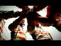 2008 IndyCar Series Highlight Video