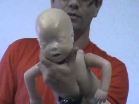 Imagem de Amostra do You Tube