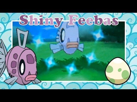 how to feebas in pokemon x