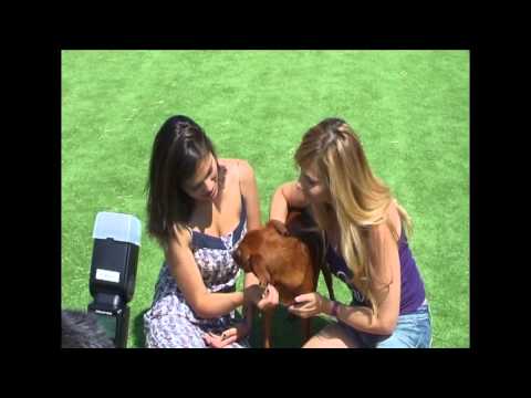 Imagen de previsualización de YouTube