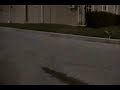 eddie tre flip gamestop gap
