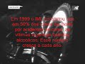 Qualidade de Vida