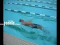 Pedro Swimming Backstrokes