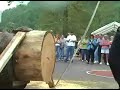 2006 websters county woodchopping festival