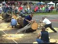 2006 websters county woodchopping festival