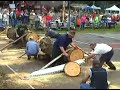 2006 websters county woodchopping festival