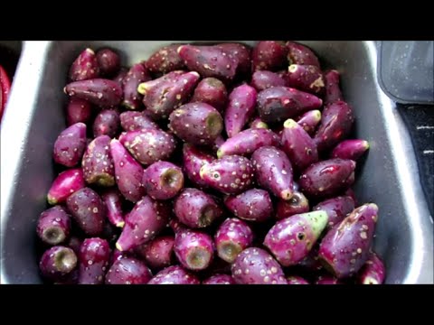 how to dissolve pectin