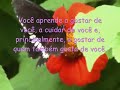 Borboletas - m�rio quintana
