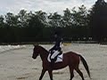 Dressage CCE Pau-Lons