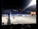 Dubai Beach Volleyball and VIP \"Cheering\"