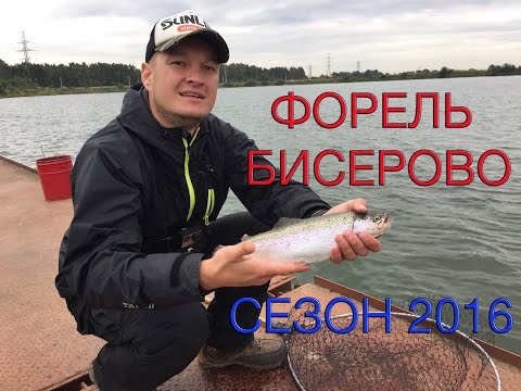 видео форель на блесну видео форель на блесну