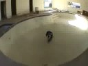 Pool Video