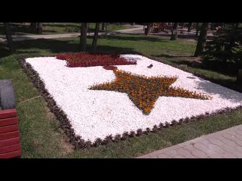 Просмотр видео