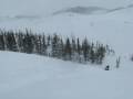 Newfoundland Sledding in the Spring