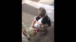 This Video Of A Boy Hugging His Chicken Is The Warmest And Cutest Video You'll See Today