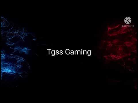 TGSS GAMING / Intro video