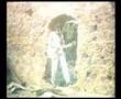 brincando de deus - an evening out