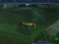 WoW Baby Shark Pet WOTLK new pet