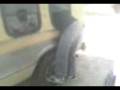 videos de saltillo intento fallido de robo