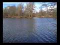Spring Tench at Ryton Pool