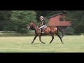 Emmy & Quantum jump 4\ Emmy & Quantum jump 4\