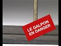 dernier-printemps-du-galpon-sur-le-site-artamis.html