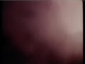 FOLKLOREAR: Cantan los Tucu-Tucu