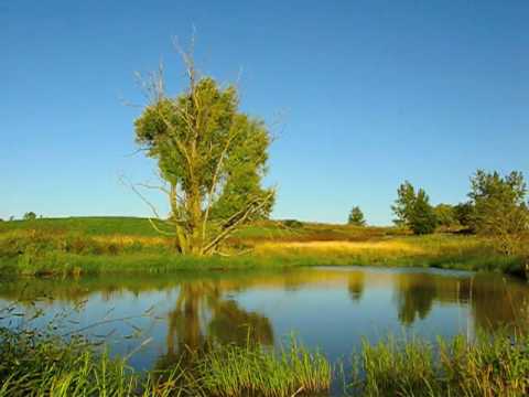 HERON POND