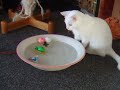 Lilith und die Schildkr�te - Interesse verloren...
