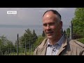 Die Empfehlung - Der Bodensee | Hin & Weg