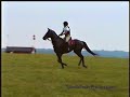 Judge Me Pretty (Daneea) Cross Country