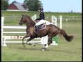 Hopph�st e:Cavalier-Purioso