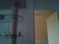 videos de Spider Man.wmv