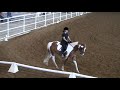 Click here to watch this video 201204291456_AngieHeflin_Risky Business Lvl 2-1 Fairfield