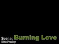 Burning Love