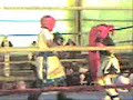 kickboxing