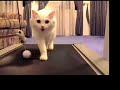 November Gets on the Treadmill